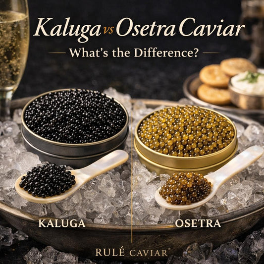 Kaluga vs Osetra Caviar: What’s the Difference?