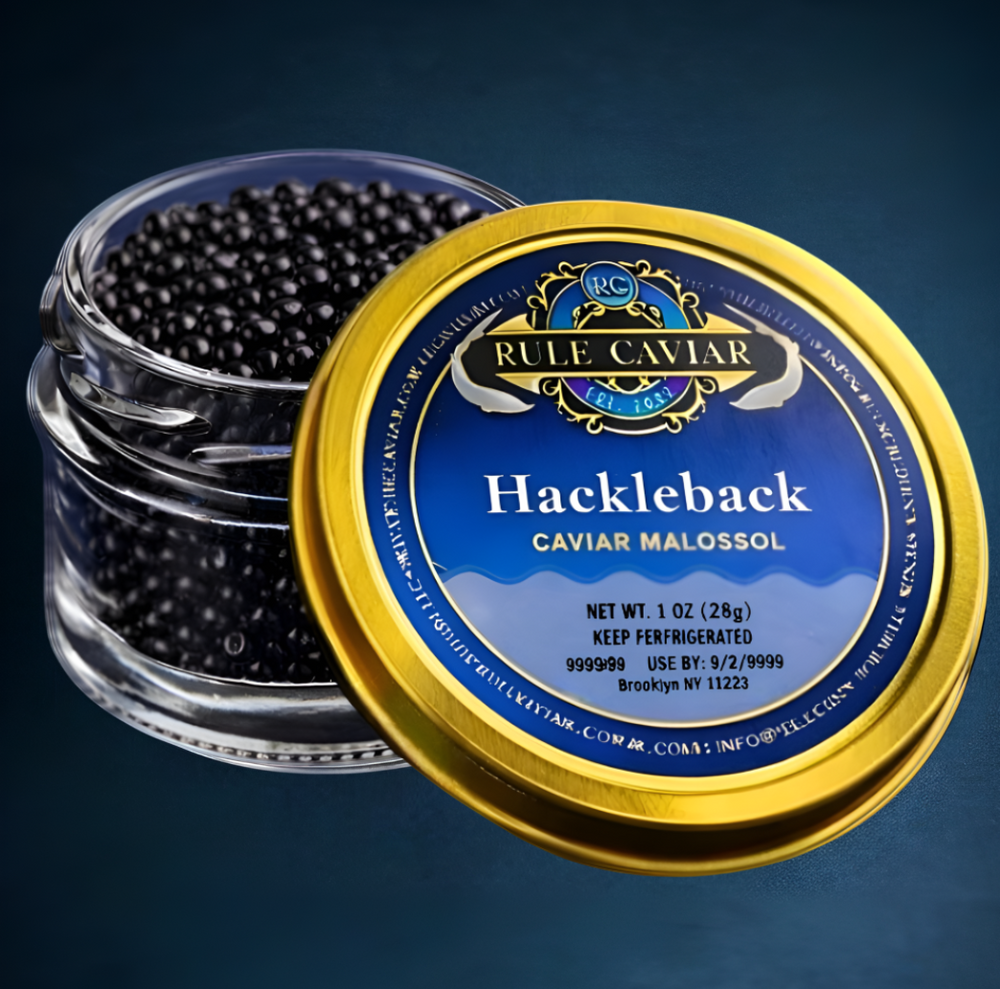 Hackleback Sturgeon