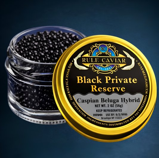 Caspian Beluga Hybrid