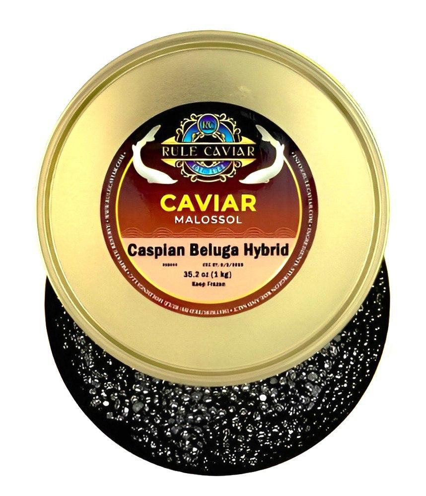 Caspian Beluga Hybrid