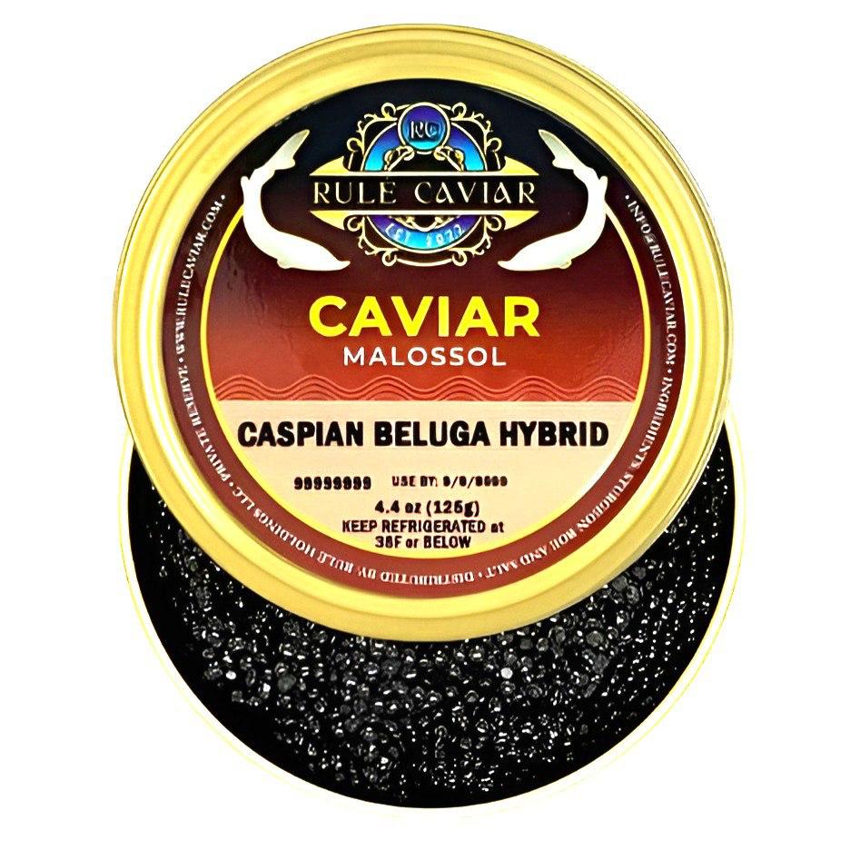 Caspian Beluga Hybrid