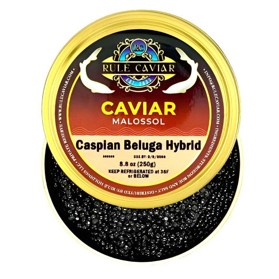 Caspian Beluga Hybrid