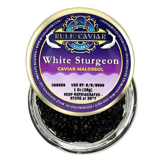 White Sturgeon