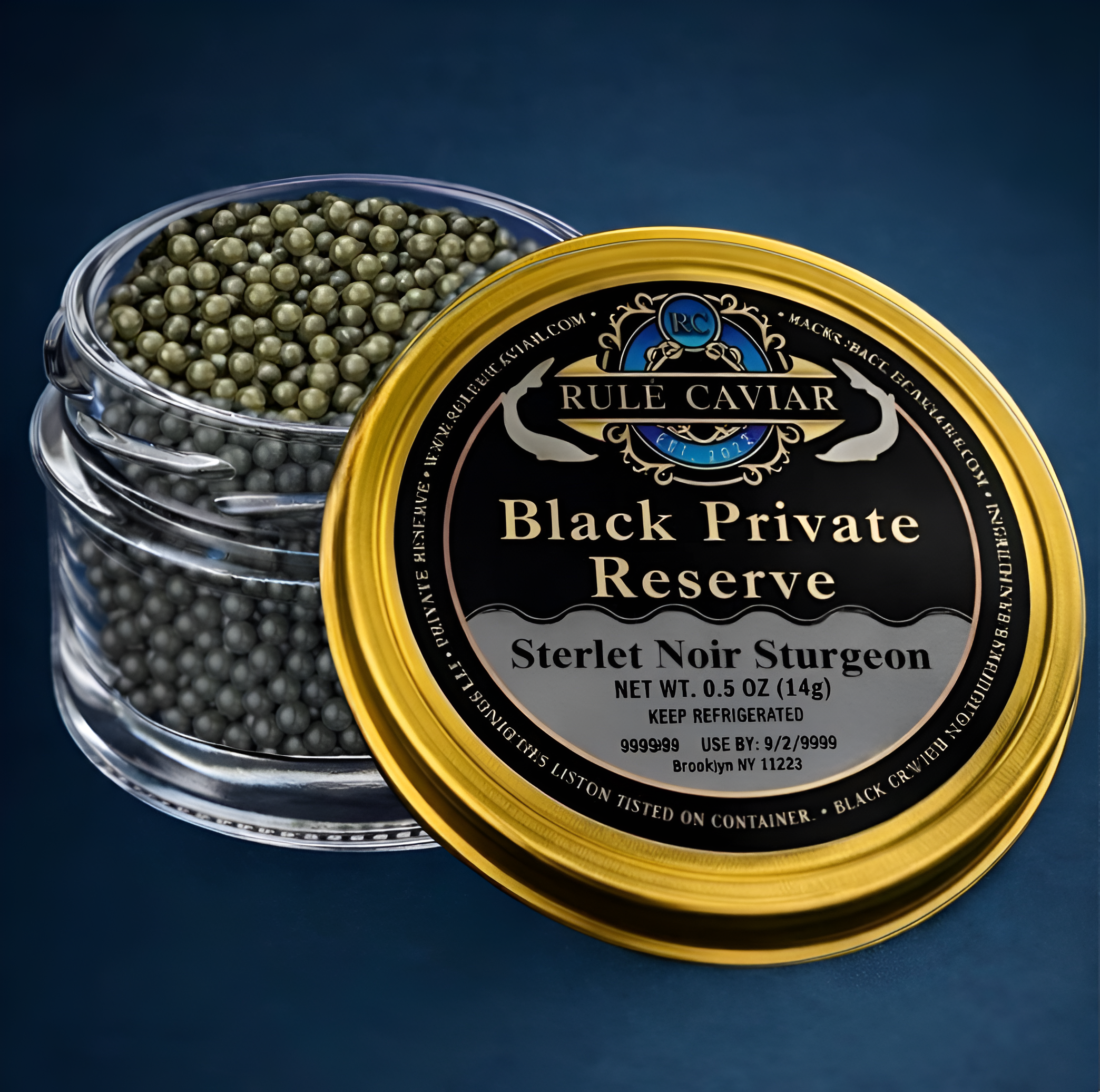 Sterlet Noir Sturgeon