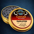 Paddlefish