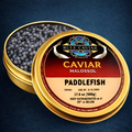 Paddlefish