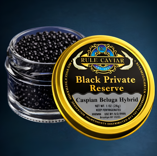 Caspian Beluga Hybrid