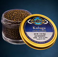 Kaluga Royal