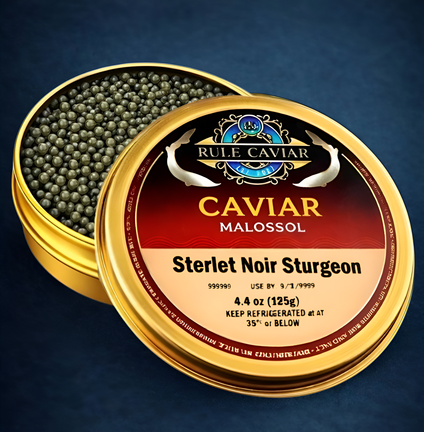 Sterlet Noir Sturgeon