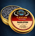 Paddlefish