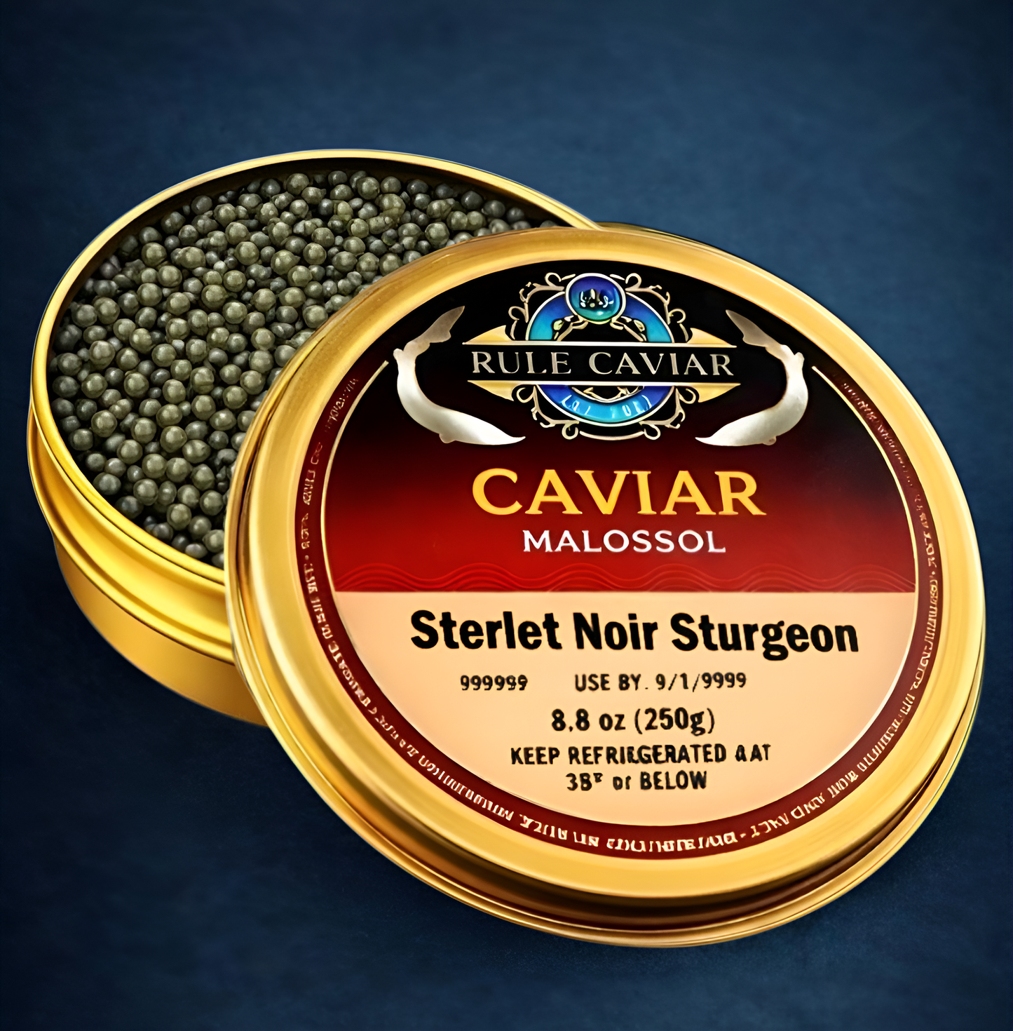 Sterlet Noir Sturgeon
