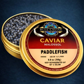 Paddlefish