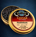 Hackleback Sturgeon