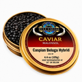Caspian Beluga Hybrid Caviar